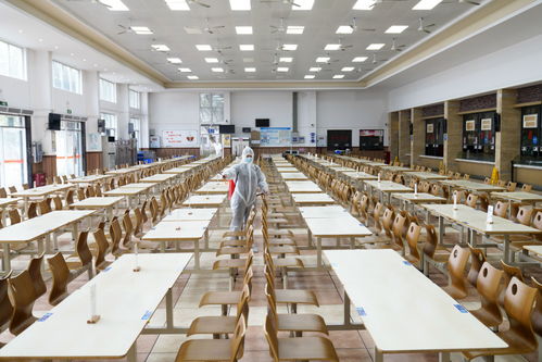 餐餐添香，楠傲承包——佛山三水工廠員工食堂的食材鮮味與品質(zhì)承諾
